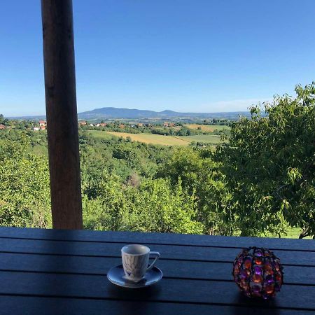 Vila Pogled Аранджеловац Екстериор снимка