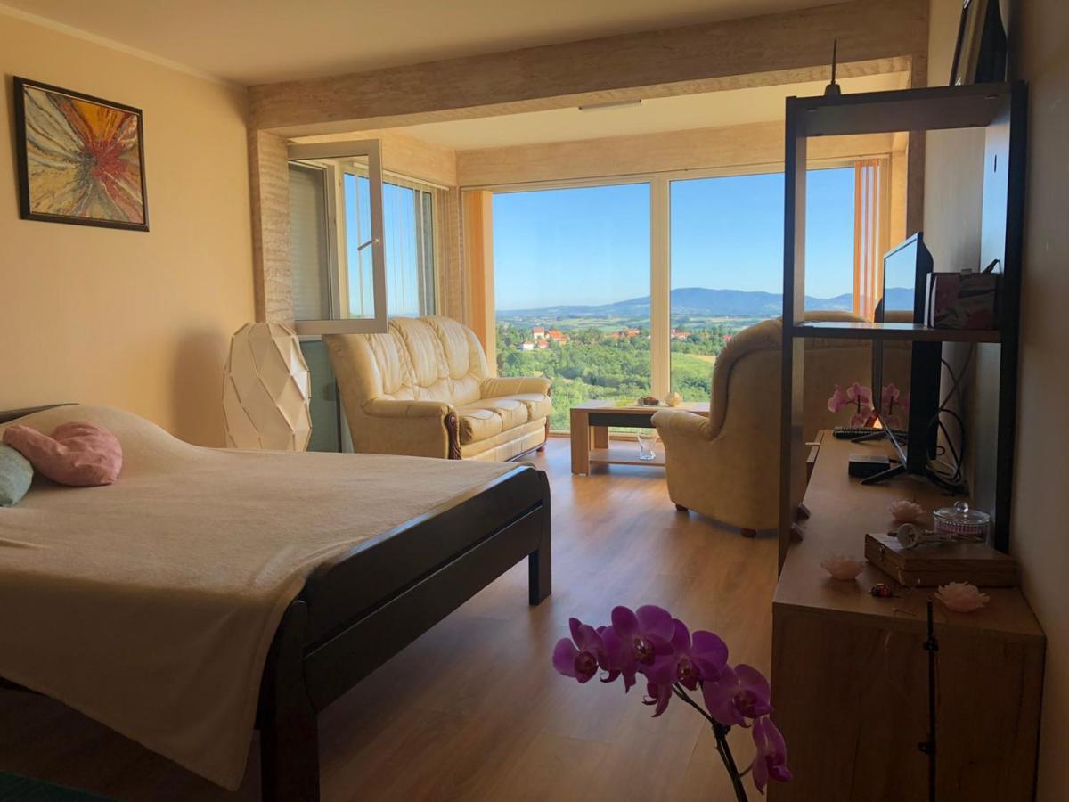 Vila Pogled Аранджеловац Екстериор снимка