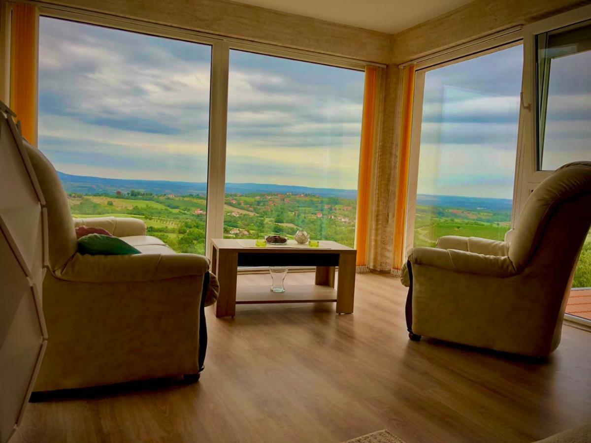 Vila Pogled Аранджеловац Екстериор снимка