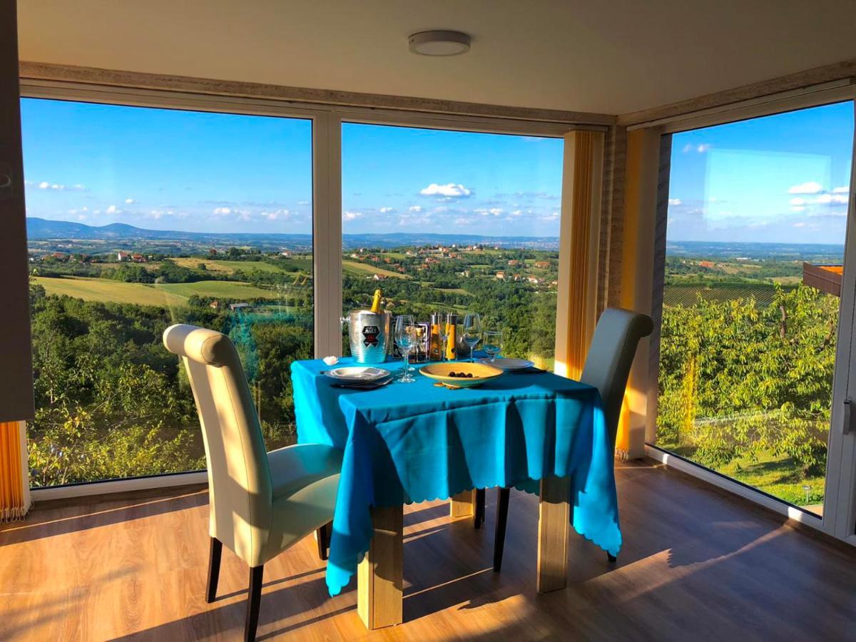 Vila Pogled Аранджеловац Екстериор снимка