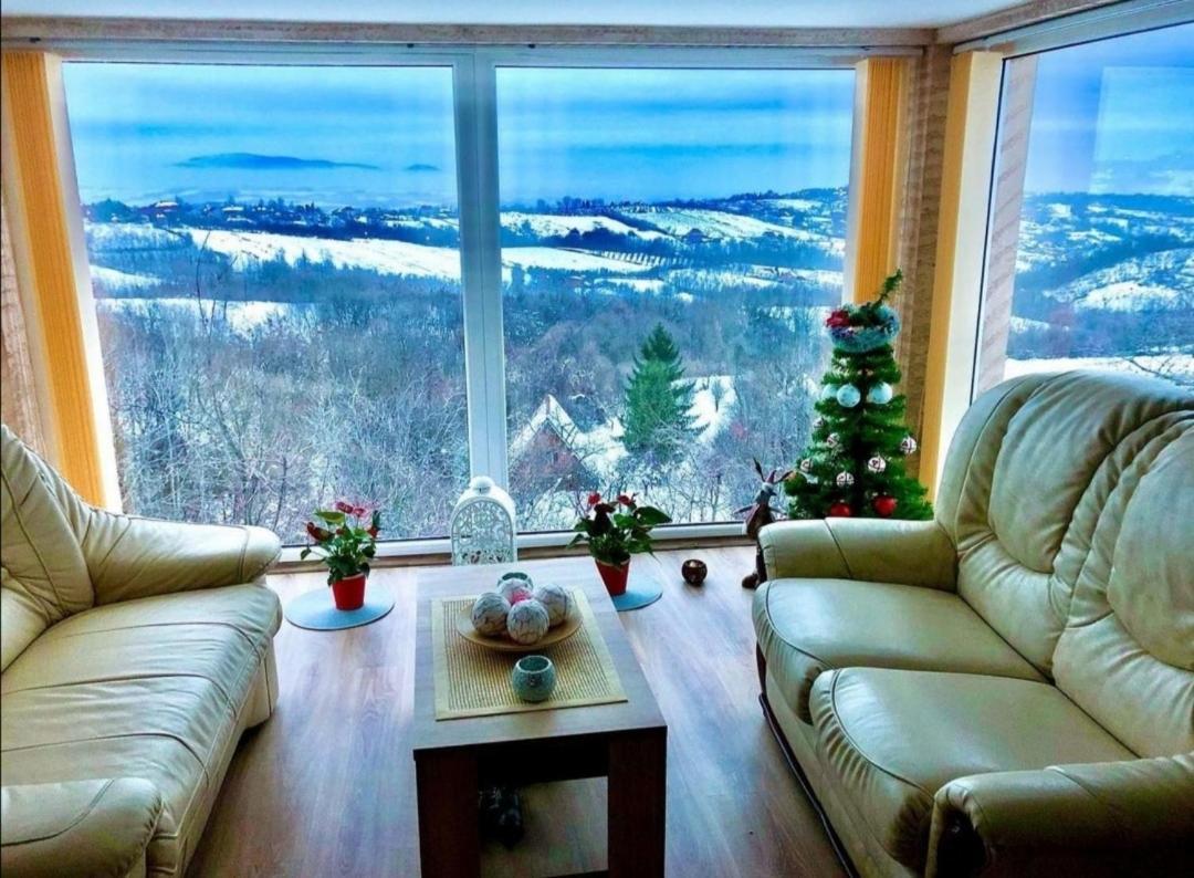 Vila Pogled Аранджеловац Екстериор снимка