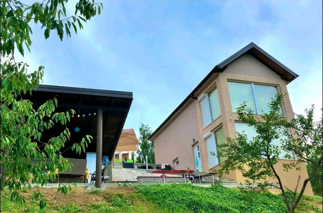 Vila Pogled Аранджеловац Екстериор снимка