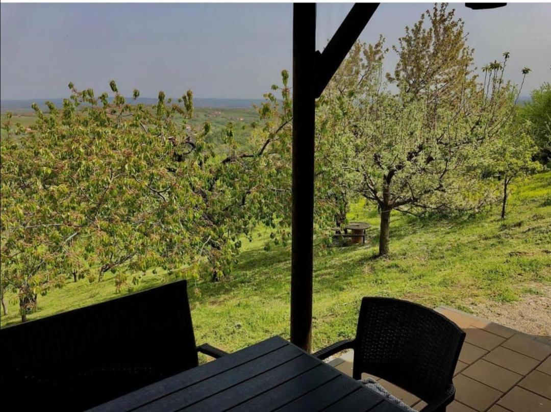Vila Pogled Аранджеловац Екстериор снимка