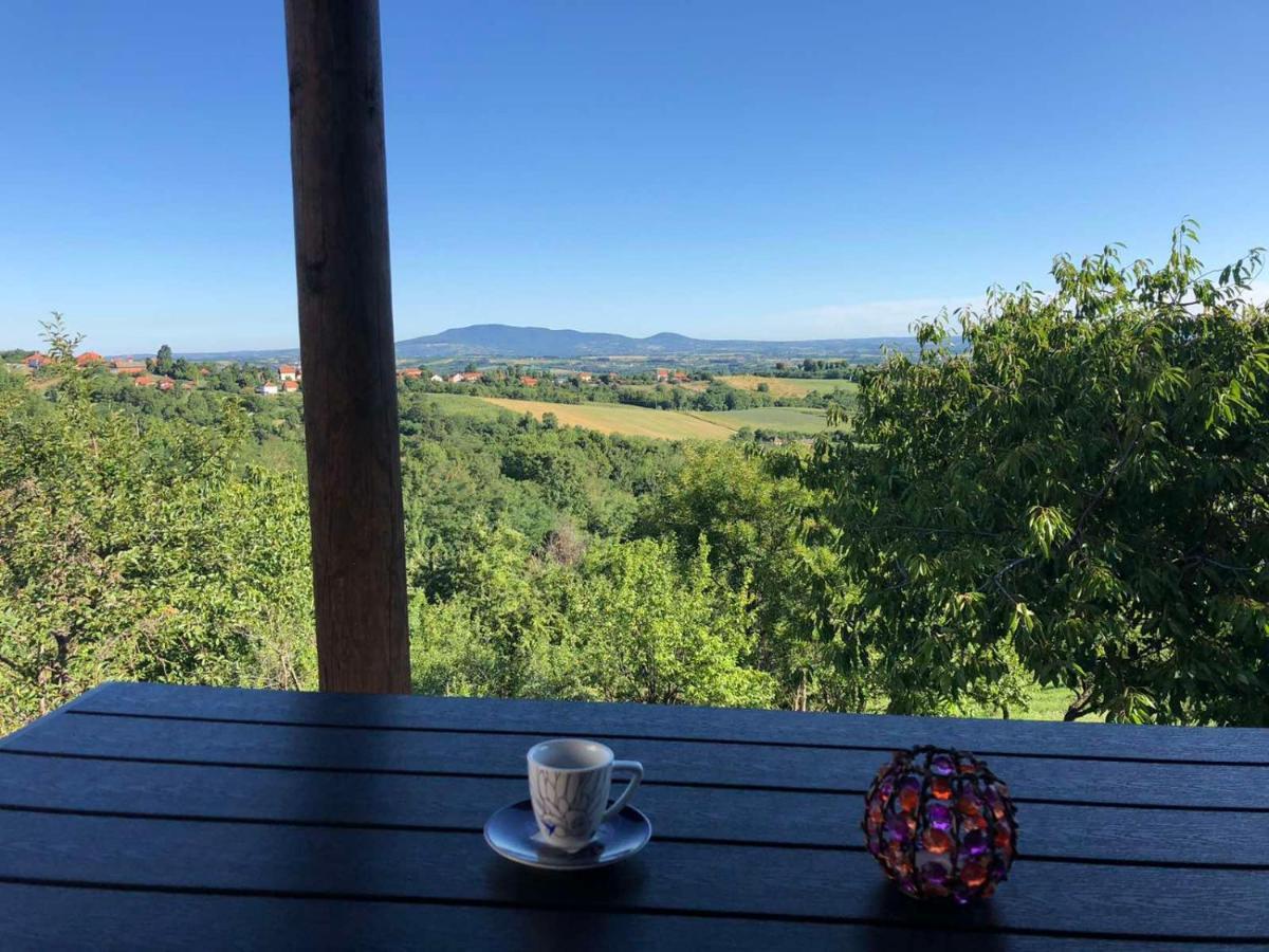 Vila Pogled Аранджеловац Екстериор снимка